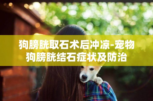 狗膀胱取石術后沖涼-寵物狗膀胱結石癥狀及防治