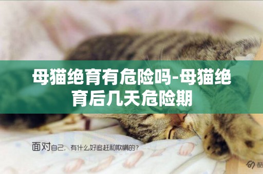 母貓絕育有危險嗎-母貓絕育后幾天危險期
