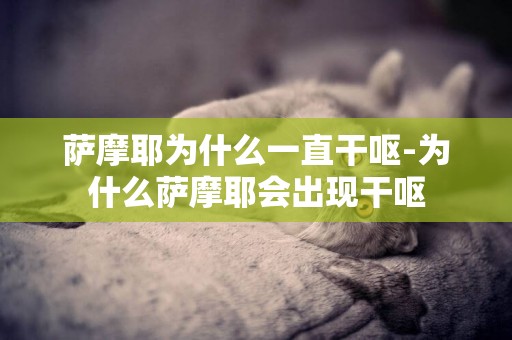 薩摩耶為什么一直干嘔-為什么薩摩耶會出現干嘔