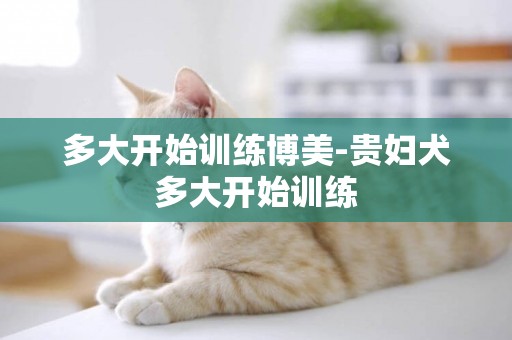 多大開始訓練博美-貴婦犬多大開始訓練