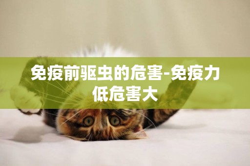免疫前驅蟲的危害-免疫力低危害大