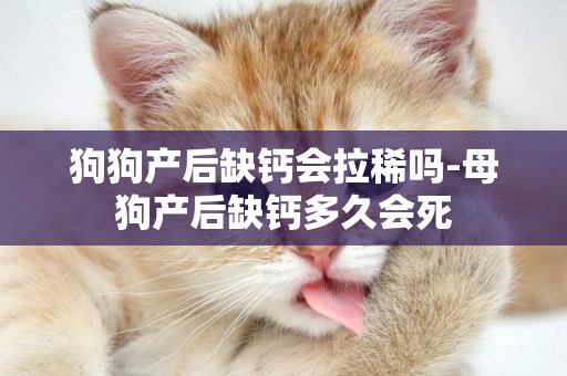 狗狗產后缺鈣會拉稀嗎-母狗產后缺鈣多久會死