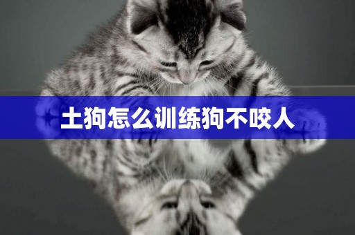 土狗怎么訓練狗不咬人