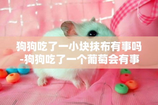 狗狗吃了一小塊抹布有事嗎-狗狗吃了一個葡萄會有事嗎
