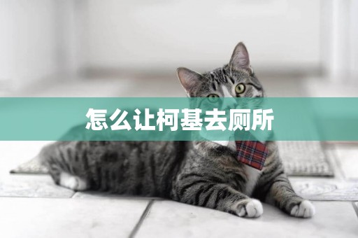 怎么讓柯基去廁所