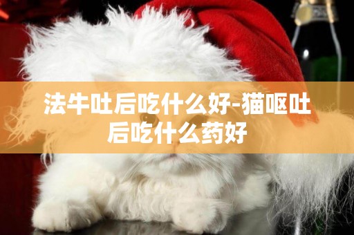 法牛吐后吃什么好-貓嘔吐后吃什么藥好