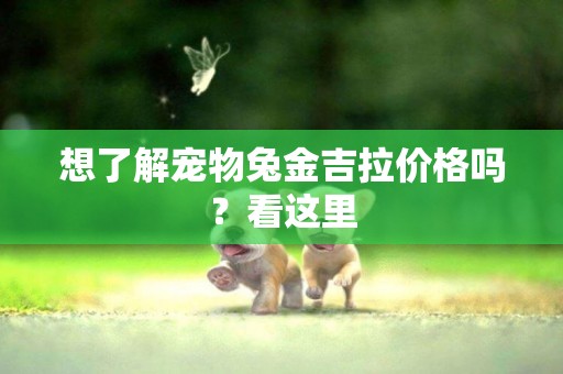 想了解寵物兔金吉拉價格嗎？看這里