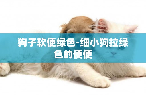 狗子軟便綠色-細小狗拉綠色的便便