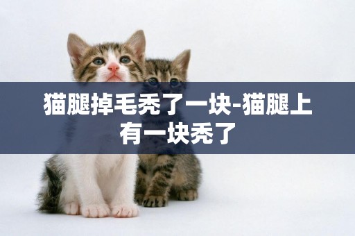 貓腿掉毛禿了一塊-貓腿上有一塊禿了