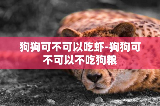 狗狗可不可以吃蝦-狗狗可不可以不吃狗糧