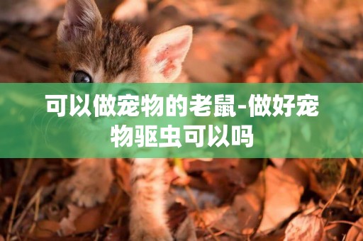 可以做寵物的老鼠-做好寵物驅蟲可以嗎