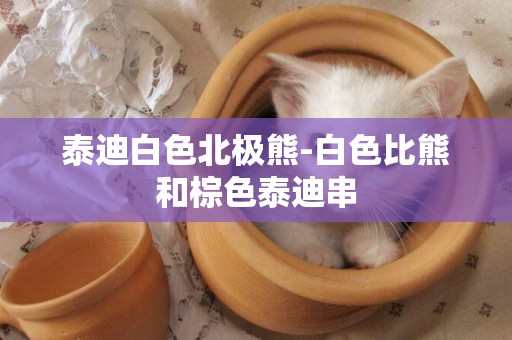 泰迪白色北極熊-白色比熊和棕色泰迪串