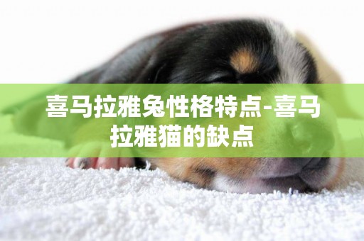 喜馬拉雅兔性格特點-喜馬拉雅貓的缺點