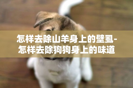 怎樣去除山羊身上的壁虱-怎樣去除狗狗身上的味道