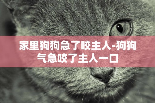 家里狗狗急了咬主人-狗狗氣急咬了主人一口