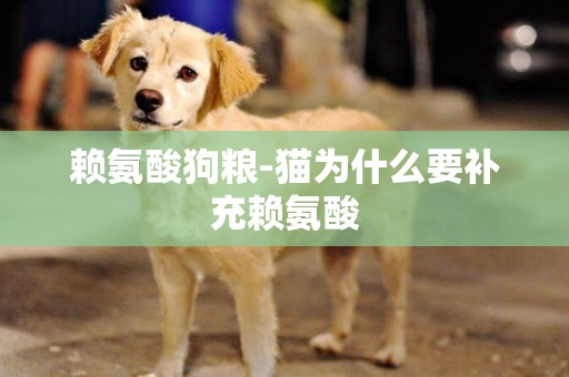 賴氨酸狗糧-貓為什么要補充賴氨酸