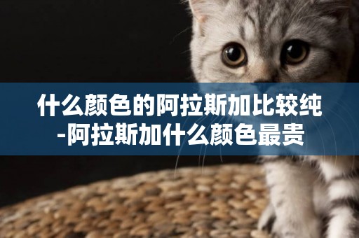 什么顏色的阿拉斯加比較純-阿拉斯加什么顏色最貴