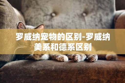 羅威納寵物的區別-羅威納美系和德系區別