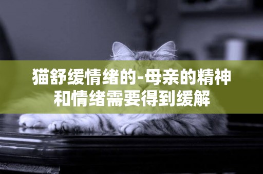 貓舒緩情緒的-母親的精神和情緒需要得到緩解