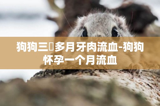 狗狗三個多月牙肉流血-狗狗懷孕一個月流血