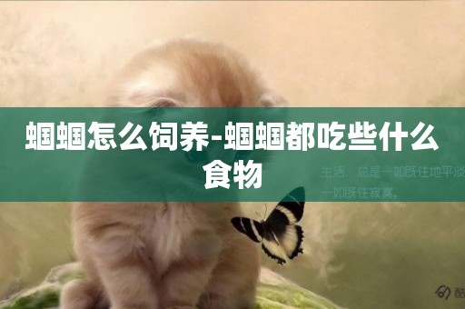 蟈蟈怎么飼養-蟈蟈都吃些什么食物