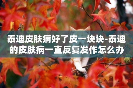 泰迪皮膚病好了皮一塊塊-泰迪的皮膚病一直反復發作怎么辦