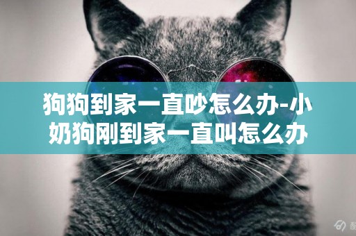 狗狗到家一直吵怎么辦-小奶狗剛到家一直叫怎么辦