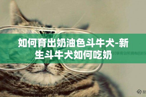 如何育出奶油色斗牛犬-新生斗牛犬如何吃奶