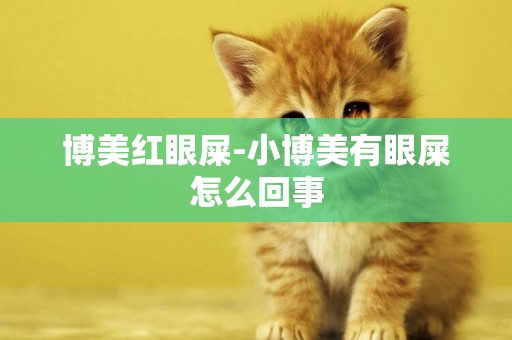 博美紅眼屎-小博美有眼屎怎么回事