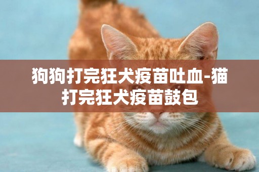 狗狗打完狂犬疫苗吐血-貓打完狂犬疫苗鼓包