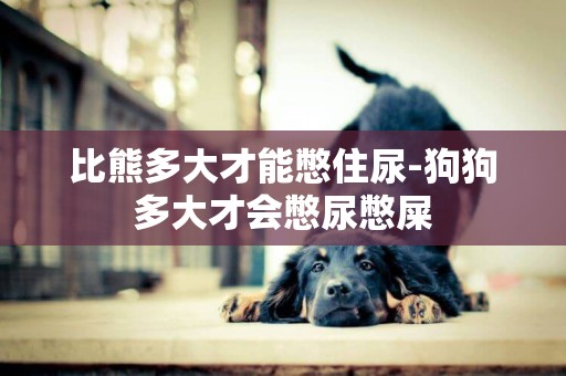 比熊多大才能憋住尿-狗狗多大才會憋尿憋屎