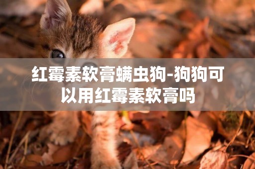 紅霉素軟膏螨蟲狗-狗狗可以用紅霉素軟膏嗎
