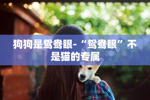 狗狗是鴛鴦眼-“鴛鴦眼”不是貓的專屬