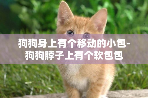 狗狗身上有個移動的小包-狗狗脖子上有個軟包包