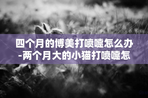 四個月的博美打噴嚏怎么辦-兩個月大的小貓打噴嚏怎么辦