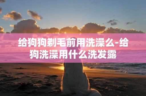 給狗狗剃毛前用洗澡么-給狗洗澡用什么洗發露