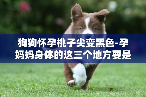 狗狗懷孕桃子尖變黑色-孕媽媽身體的這三個地方要是變成黑色了