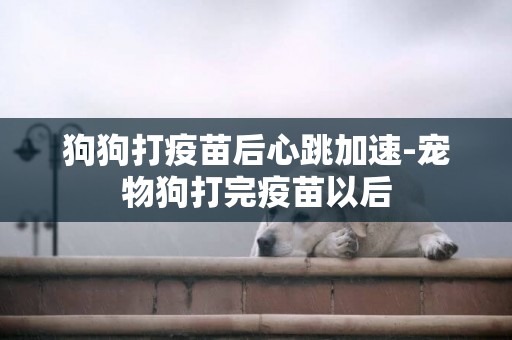 狗狗打疫苗后心跳加速-寵物狗打完疫苗以后