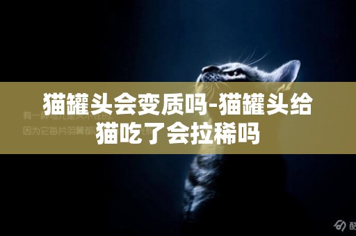 貓罐頭會變質嗎-貓罐頭給貓吃了會拉稀嗎
