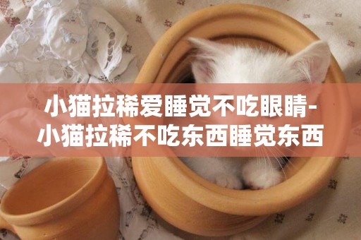 小貓拉稀愛睡覺不吃眼睛-小貓拉稀不吃東西睡覺東西
