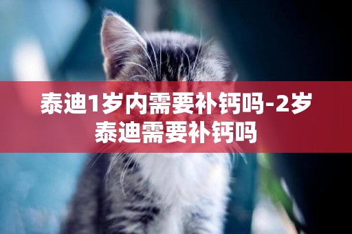 泰迪1歲內需要補鈣嗎-2歲泰迪需要補鈣嗎