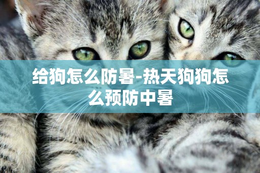 給狗怎么防暑-熱天狗狗怎么預防中暑