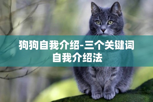 狗狗自我介紹-三個關鍵詞自我介紹法