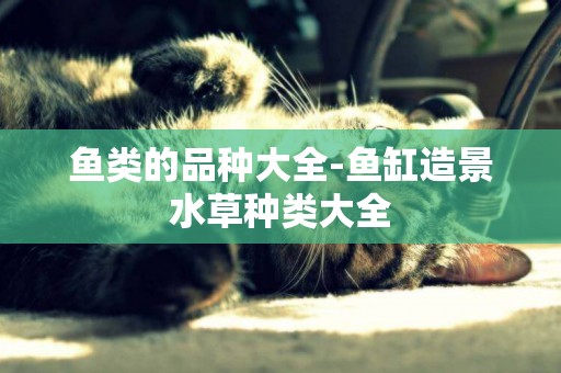 魚類的品種大全-魚缸造景水草種類大全