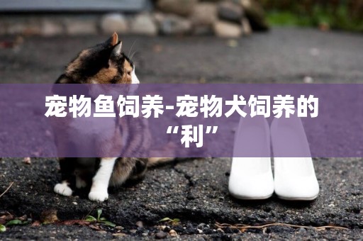 寵物魚飼養-寵物犬飼養的“利”