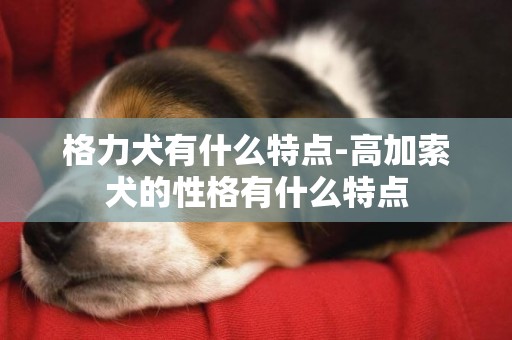 格力犬有什么特點-高加索犬的性格有什么特點