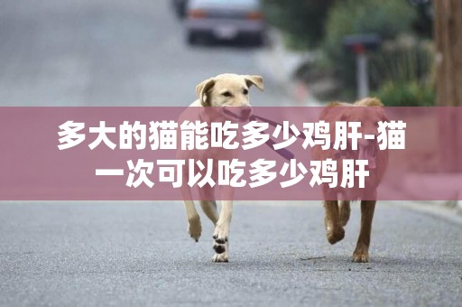 多大的貓能吃多少雞肝-貓一次可以吃多少雞肝