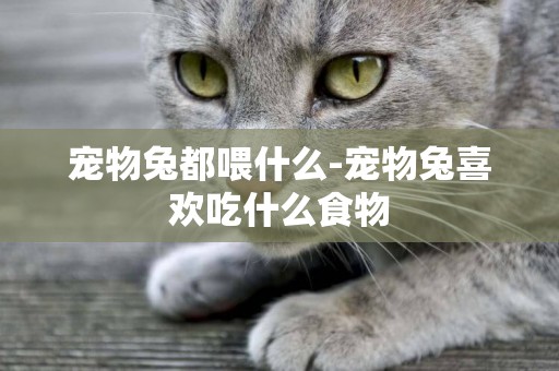 寵物兔都喂什么-寵物兔喜歡吃什么食物