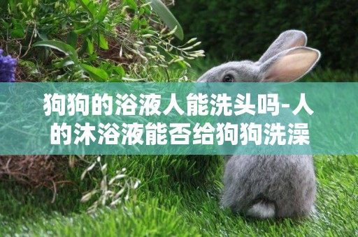 狗狗的浴液人能洗頭嗎-人的沐浴液能否給狗狗洗澡