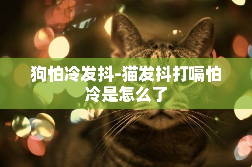 狗怕冷發抖-貓發抖打嗝怕冷是怎么了